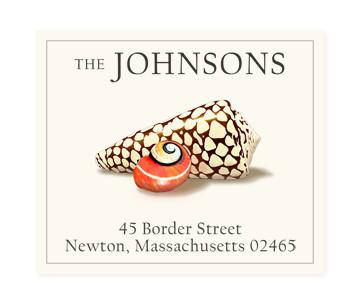 Return Address Label - Spotted Seashell